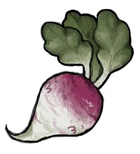 Turnips